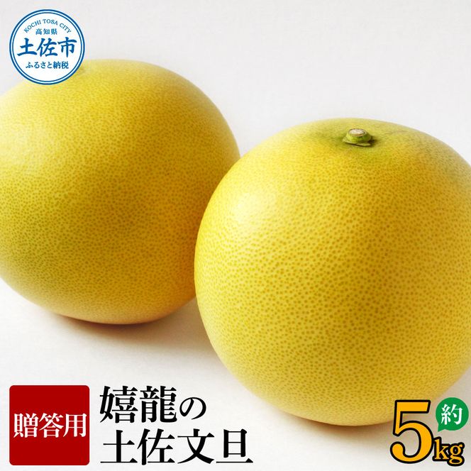 ＜2026年1月下旬より順次発送＞嬉龍の土佐文旦　贈答用　2～3Ｌサイズ　約5kg　減農薬