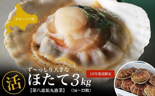 【12月発送限定】オホーツク産 『活』 ほたて 3kg（16～22枚） SRMN022