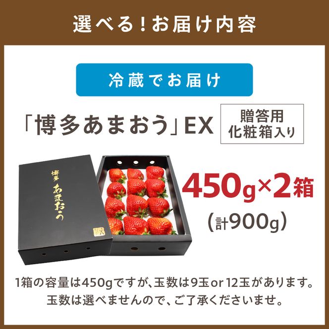 1月より順次発送!「博多あまおう」EX　贈答用化粧箱　約450g 2箱【ほたるの里】_HA0753