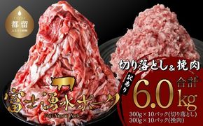 幻の銘柄豚 富士湧水ポーク 切り落としと挽肉のガッツリ盛りセット 6.0kg　DM028_01