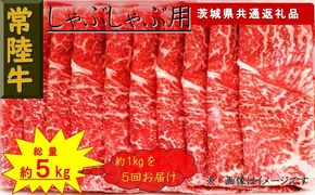 169-26-039 【5か月定期便】【常陸牛】しゃぶしゃぶ用肉 約1kg【定期便】計5回 総量約5kg（茨城県共通返礼品）【 常陸牛 茨城県 日立市 】