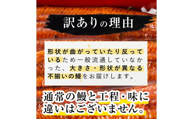 【訳あり・数量限定】復活！不揃いのうなぎ達 計800g以上(鹿児島県産 鰻の蒲焼き) b2-040