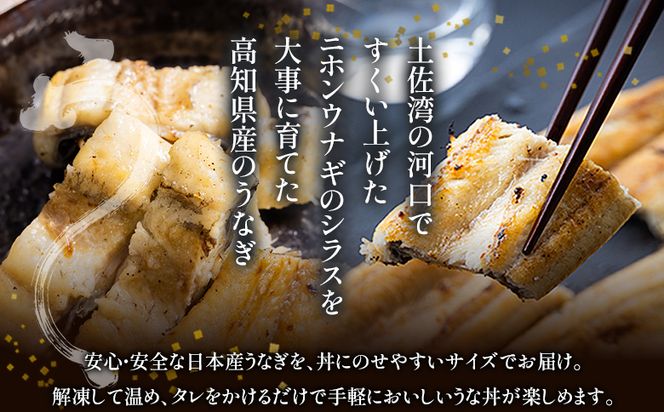 【10日程度で発送】贈答用 高知県産鰻の白焼き120～130ｇ5尾 刻み鰻50ｇ×10袋 蒲焼きのタレ10袋 天日塩20ｇ yw-0132