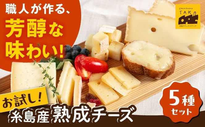 yszY  100 gp  n `[Y Hה 5 Zbg s / i``[YTAK-^bN- `[Ylߍ킹[AYC003]