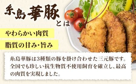 【合計19枚】 カツ 2種セット 糸島華味鳥 チキン カツ / 糸島華豚 ヒレカツ セット 《糸島》 【糸島ミートデリ工房】 [ACA101]