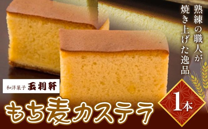 もち麦カステラ 1本 株式会社玉利軒《30日以内に出荷予定(土日祝除く)》岡山県 笠岡市 カステラ もち麦 お土産 和菓子 手土産 送料無料 冷蔵配送---T-37_cool---