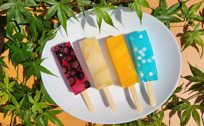 葛バー 10種 22本 セット 詰め合わせ 溶けないアイス くずバー とけないアイス 葛 アイス バー 和菓子 お菓子 菓子 デザート スイーツ いちご みかん 白桃 パイン ラムネ 抹茶 栗小倉 マンゴー ぶどう ブルーベリー 愛知 愛知県 日進市