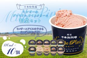 ns025-014-10 福袋セット（ミレピーニアイス10個セット）【千本松牧場】