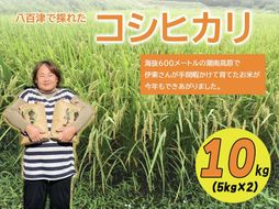 限64. 【令和6年度新米】八百津で採れたコシヒカリ！ 10kg