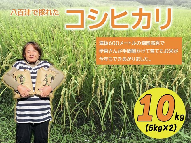 限64. 【令和6年度新米】八百津で採れたコシヒカリ！ 10kg