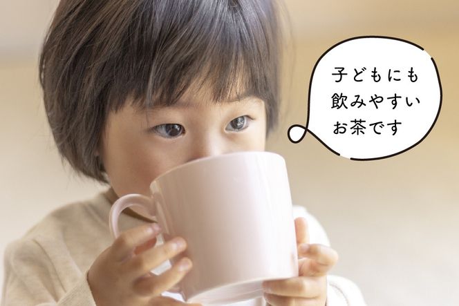【フィルターインボトル付き】お子茶ま。ティーパック(10g×15P入り)×2袋 【煎茶 嬉野茶 水出し煎茶 水出し茶 田中茶舗 佐賀県】(H047116)