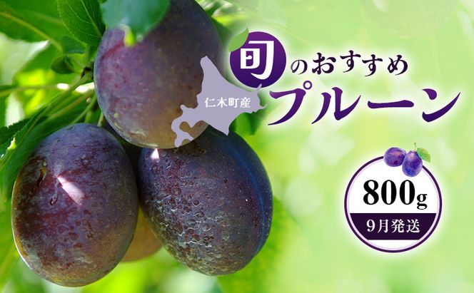 [先行受付]【9月発送】北海道 仁木町産 おすすめ プルーン 800g（400g×2パック） 果物類 果物 くだもの フルーツ 果物詰合せ [和田農園]