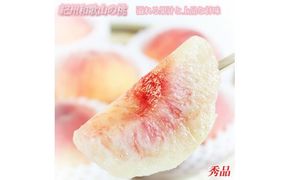 秀品　紀州和歌山産の桃　3玉　化粧箱入　※2026年6月下旬頃〜2026年8月上旬頃順次発送（お届け日指定不可）【uot750】