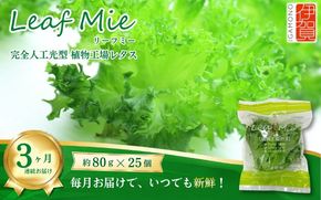 【農薬不使用】Leaf Mie（完全人工光型植物工場レタス）約80g×25個　3ヶ月連続お届け 【fskk-tkb0001】