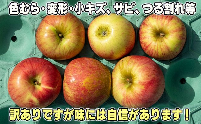  2月発送【 糖度保証 】家庭用 葉取らず サンふじ 約 5kg【 訳あり 】鶴翔りんごGAP部会 青森県産 津軽産 リンゴ 林檎 果物 フルーツ デザート 甘味