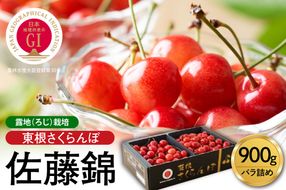 【2026年産 先行予約】GI 「東根さくらんぼ」佐藤錦 900g バラ詰め JA園芸部提供 山形県 東根市　hi001-039