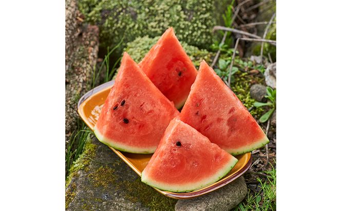 【2026年夏発送】スイカ 2L 1玉 ≪6kg以上≫ 北海道 富良野市 フルーツ 果物 すいか