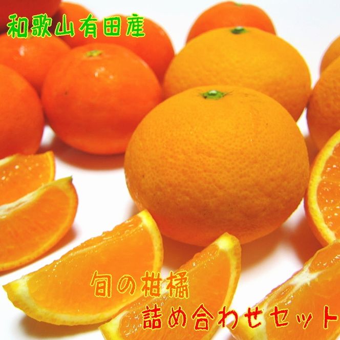 【先行予約】有田育ちの旬の 柑橘 詰め合わせ セット7.5kg+200g(補償分)｜ フルーツ ふるーつ 果物 くだもの 詰め合わせ オレンジ みかん レモン 国産 産地直送 美浜町