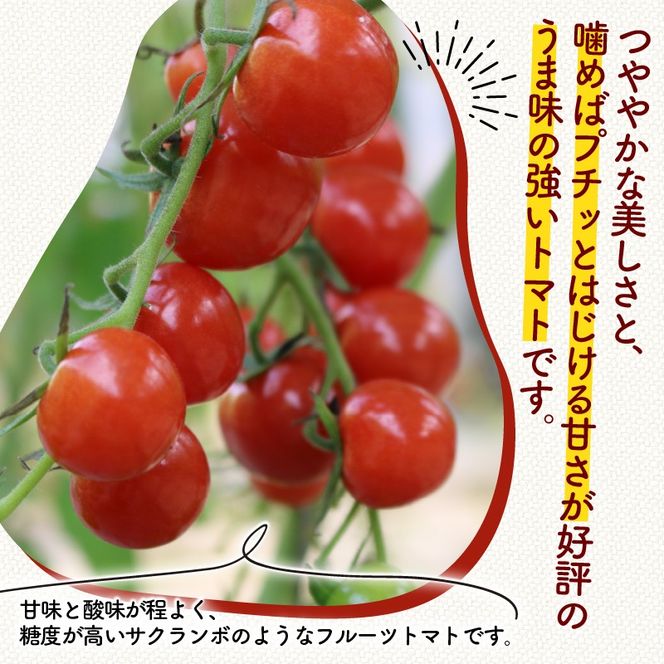 ミニ トマト プチルージュ 150g × 24パック 野菜 やさい 新鮮 旬の野菜 産地直送 高糖度 甘い プチ フルーツ ソース ジュース ケチャップ に