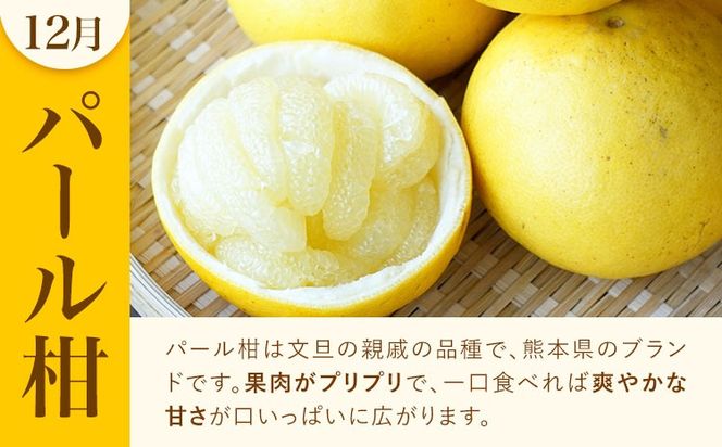 旬の柑橘定期便 山本果樹園 旬のみかん 約5kg パール柑 約5kg 晩白柚 2玉（Lサイズ）《11月上旬-2月下旬頃出荷》果物 フルーツ ザボン 熊本県 特産品---hkw_ymk_7_mo3---