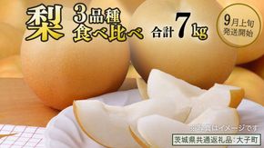 【食べ比べ】 梨 3品種 合計 約7kg 【2026年9月上旬発送開始】(茨城県共通返礼品：大子町) なし 果物 くだもの フルーツ おまかせ 旬