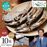 【宮古市】潮風さんま10本