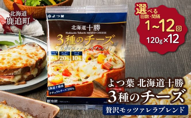 よつ葉北海道十勝　3種のチーズ《贅沢モッツァレラブレンド》 12袋【選べる回数】1回 / 毎月3回 / 隔月3回 / 3カ月毎3回 / 毎月4回 / 隔月4回 / 3カ月毎4回 / 隔月6回 / 定期12ヵ月【 ふるさと納税 人気 おすすめ ランキング よつ葉 乳製品 贈答 プレゼント 贈り物 ギフト ごほうび セット 北海道産 十勝産 北海道 鹿追町 送料無料 】 SKA064-v