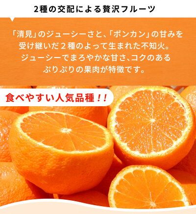 G7359_【2027年先行予約】紀州有田産 不知火 (しらぬい)【家庭用 訳あり】8.5kg