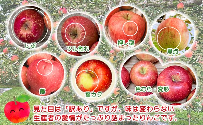 りんご 定期便 3ヶ月 青森 訳あり リンゴ 3種 サンつがる 紅玉 サンふじ 約5kg (18～20玉) 3回 たわわ農園 フルーツ 果物 定期 9月・10月・11月発送予定 ※オンライン決済限定