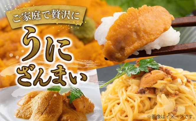 ＜先行予約＞ 北海道産 ムラサキウニ（訳あり）【ogm-028】うに 海鮮 訳あり 国産 北海道 伊達 ふるさと納税