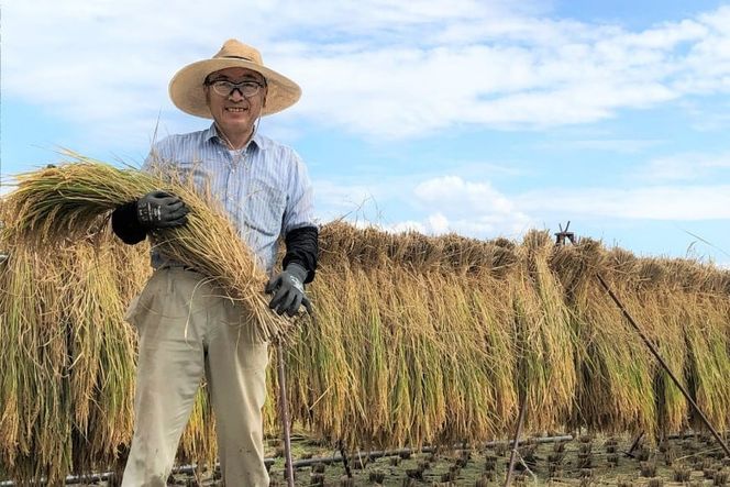 【3回 定期便】米 令和8年産 玄米 ゆうだい21 5kg×3回 計15kg [穂足農園 山梨県 韮崎市 20745229] お米 玄米 ご飯 ごはん こめ コメ 美味しい 15キロ
