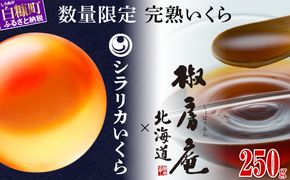 数量限定 完熟いくら【生いくら250g たれ70g】