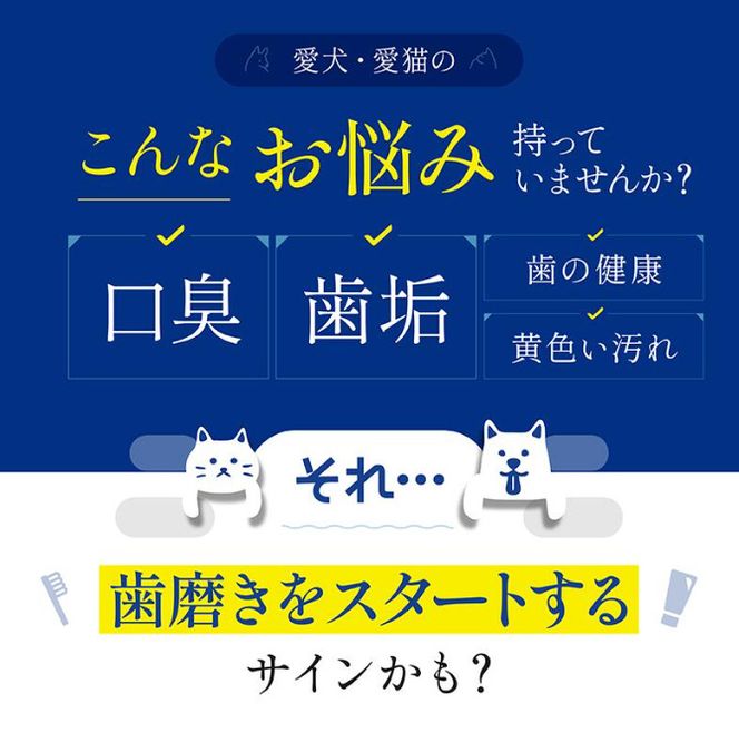 犬猫用 歯磨きジェル 30g ドクターアニマポート《獣医師 臭気判定士 W監修》｜舐めるだけ ペット 猫 無香料 デンタルケア [2465]