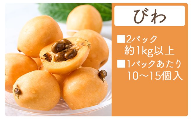 びわ ２パック 約1kｇ以上 （1パックあたり10～15個入） 香南市産 - 国産 香南市産 フルーツ 果物 果実 青果 ビワ 枇杷 山の幸 山の恵み 甘い やすらぎ市 高知県 香南市 yr-0115