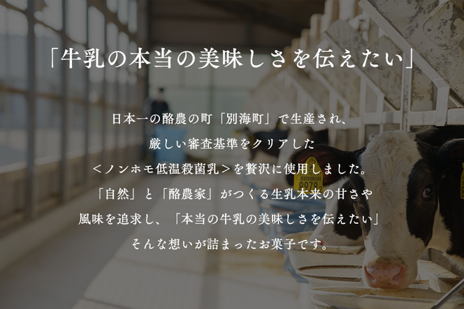 Milk Scone（プレーン1種×6個）【CJ0000239】