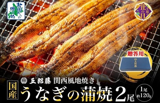 099H3442-2d 【7/26土用の丑の日】五郎藤 関西風地焼き 国産有頭旨鰻 120g×2尾 計約240g 【贈答用 うなぎ ウナギ 蒲焼き 炭火】