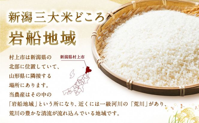 【令和7年産米】新潟県村上市岩船産 新之助 5kg 1013002 