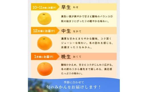 【ご家庭用】手選別 温州みかん 約4.5kg 和歌山県産 2S~2Lサイズ混合※2025年11月上旬～2026年2月中旬ごろに順次発送【mrmt007】
