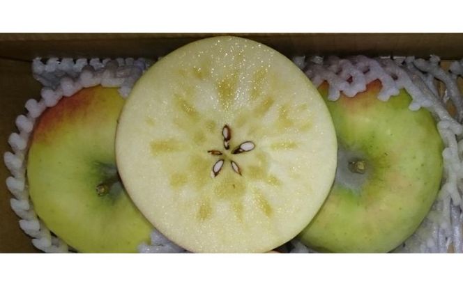 りんご 訳あり 家庭用 ぐんま名月 約 5kg (12～23玉) 黄色 不揃い 秋 2026年 11月発送