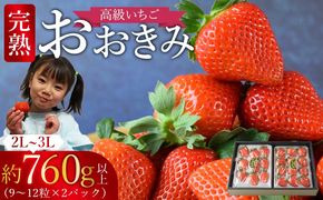 ＜高級いちご「おおきみ」（9～12粒×2パック 合計約760g以上）＞2025年1月上旬～4月末迄に順次出荷【a0284_sn_x1】