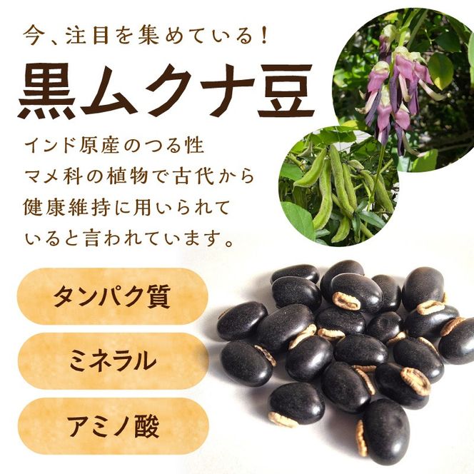 人生まだまだ！黒ムクナ豆茶 ティーバッグ1.5g×30袋《 黒ムクナ豆 健康茶 香ばしい お茶 チャック付き ティーパック ティータイム 》【2400G02811】