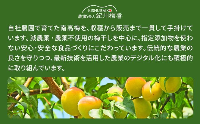 国産はちみつ梅 無添加 梅干し 訳あり つぶれ梅 低塩6% 1kg(500g×2パック) 化学調味料 無添加食品［KU1］ 303446_ED90001