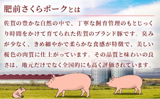 【お中元】12個セット 無添加・手作り!  肥前さくらポーク 豚ロールステーキ（のし対応可）