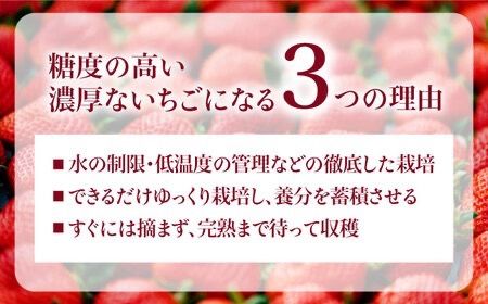 【全3回定期便】完熟 あまおう 270g × 4パック / あまおうジャム 140g × 3本【先行予約受付中：2025年1月以降順次発送】 苺 いちご 糸島市 / slowberry strawberry [APJ004]