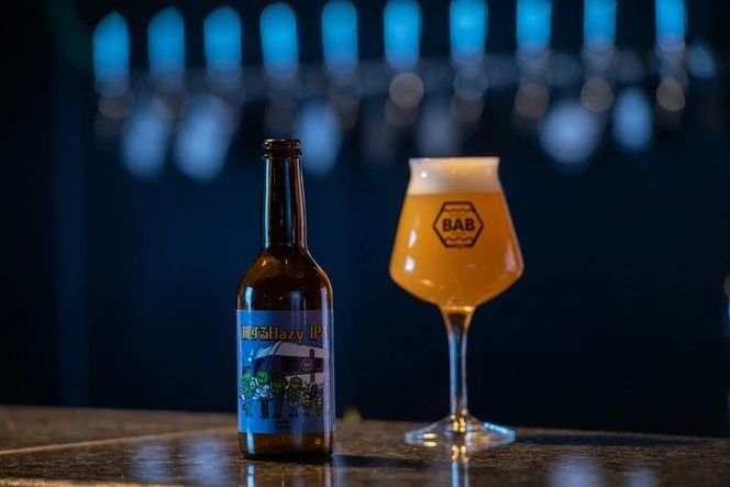 BEER AGAIN BREWING クラフトビールバラエティー 3本セット | 飲み比べ 詰め合わせ お楽しみ ビール お酒