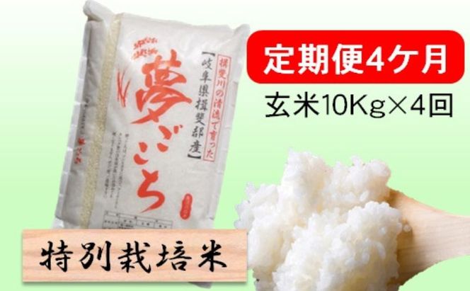 特別栽培米★[定期便] 4カ月★毎月 玄米10kg【夢ごこち】 お米 ブランド米 銘柄米 ご飯 モッチリ 低アミロース米 冷めても美味しい