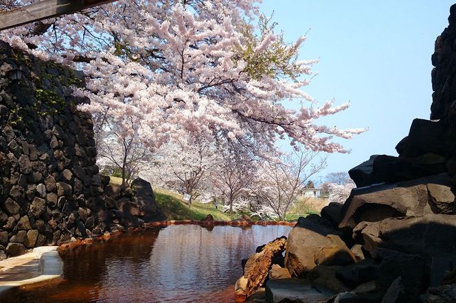 男鹿温泉SKOグループホテル 1泊朝食付きペア宿泊券|23_sko-010201