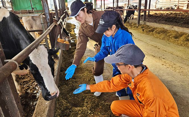 酪農体験チケット 大人・子供 各2名 【 体験チケット 酪農 北海道 幕別町 牛 搾乳 牧場 自然 】