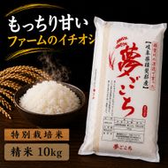 【令和7年産】特別栽培米 10kg【白米、7分ツキ】（夢ごこち）