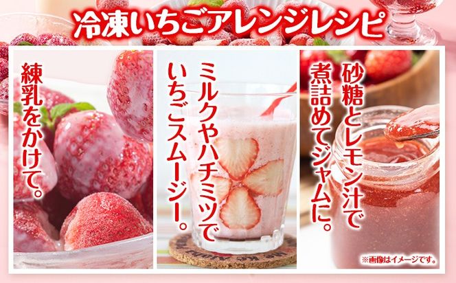 冷凍いちご 約1kg みやざき農園《30日以内に出荷予定(土日祝除く)》熊本県 氷川町 いちご イチゴ ひのしずく 国産 冷凍いちご フルーツ ストロベリー 冷凍 お菓子作り 送料無料---sh_fmiyayufarm_30d_25_10000_1kg---